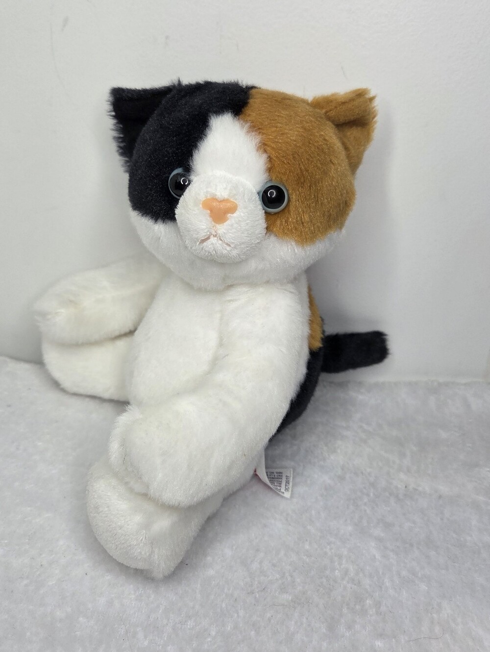 Aurora Calico Cat